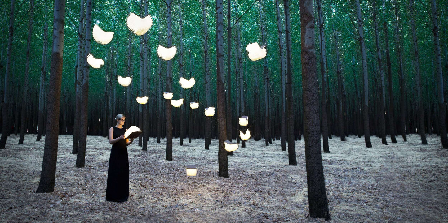 Wooden Paper Book Lamp | 3 Light Colours